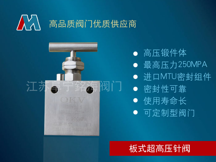 GJ11Y板式超高壓針閥3.jpg